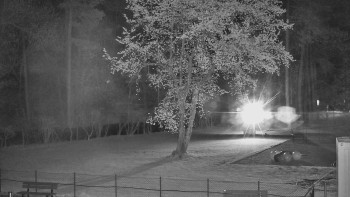 Koupaliště Bystřice pod...