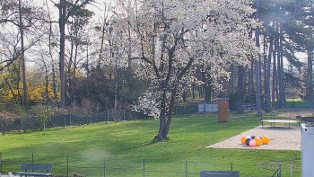 Koupaliště Bystřice pod...