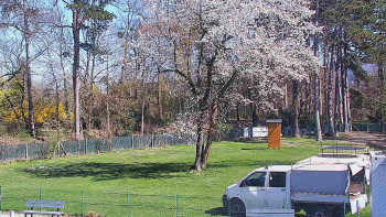 Koupaliště Bystřice pod...