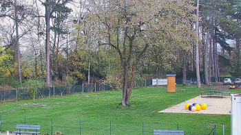 Koupaliště Bystřice pod...