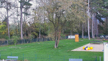 Koupaliště Bystřice pod...