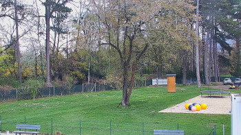 Koupaliště Bystřice pod...