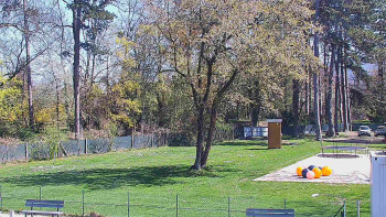 Koupaliště Bystřice pod...