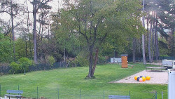 Beach volejbal
