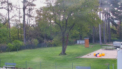 Beach volejbal