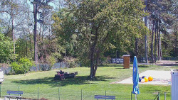 Beach volejbal