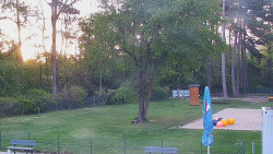 Beach volejbal