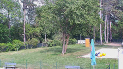 Beach volejbal