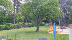 Beach volejbal