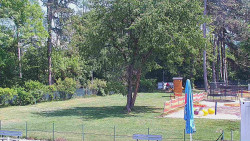 Beach volejbal