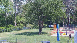 Beach volejbal