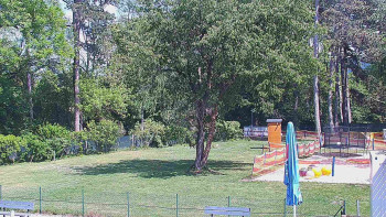 Koupaliště Bystřice pod...