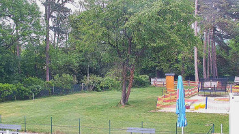 Koupaliště Bystřice pod...