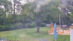 Beach volejbal