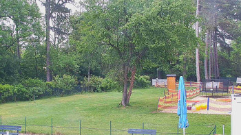 Koupaliště Bystřice pod...
