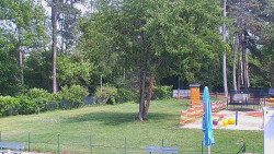 Beach volejbal