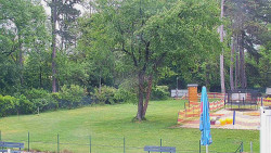 Beach volejbal