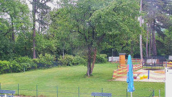 Beach volejbal