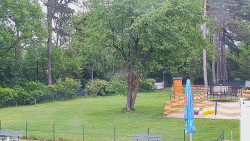 Beach volejbal