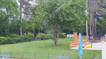 Koupaliště Bystřice pod...