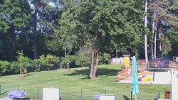 Beach volejbal