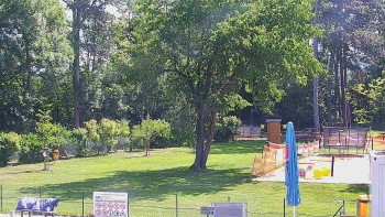 Koupaliště Bystřice pod...