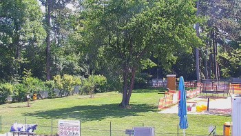 Koupaliště Bystřice pod...