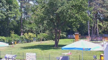 Koupaliště Bystřice pod...
