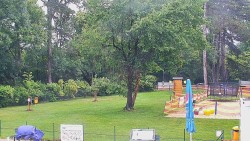 Beach volejbal