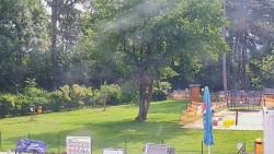 Beach volejbal