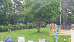 Beach volejbal