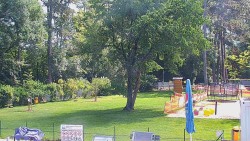 Beach volejbal