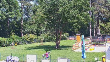Koupaliště Bystřice pod...