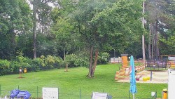 Beach volejbal