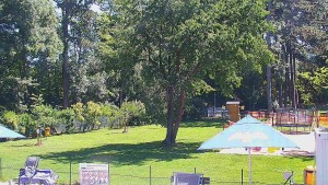Koupaliště Bystřice pod Hostýnem - Beach volejbal - 6.6.2026 v 11:45 Koupaliště Bystřice pod Hostýnem - Beach volejbal - 6.6.2026 v 11:45