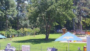 Koupaliště Bystřice pod Hostýnem - Beach volejbal - 6.6.2026 v 12:45 Koupaliště Bystřice pod Hostýnem - Beach volejbal - 6.6.2026 v 12:45