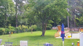 Koupaliště Bystřice pod...