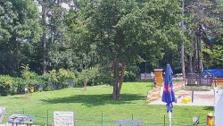 Beach volejbal