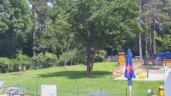Beach volejbal