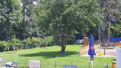 Beach volejbal
