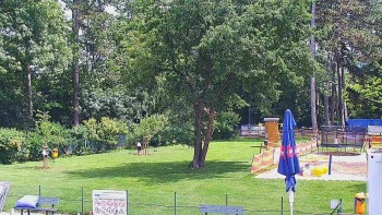 Koupaliště Bystřice pod...