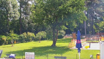 Koupaliště Bystřice pod...