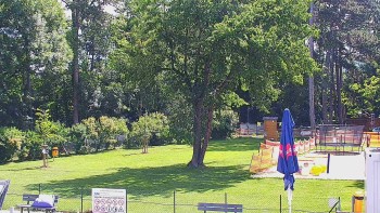 Koupaliště Bystřice pod...