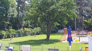 Schwimmbad Bystřice pod Hostýnem - Beachvolleyball - 16.6.2026 v 11:45 Schwimmbad Bystřice pod Hostýnem - Beachvolleyball - 16.6.2026 v 11:45