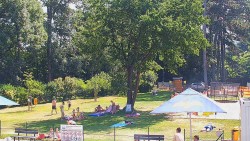 Beach volejbal