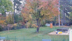 Bystřice pod Hostýnem Swimming Pool - Beach volleyball - 30.10.2026 v 11:45 Bystřice pod Hostýnem Swimming Pool - Beach volleyball - 30.10.2026 v 11:45