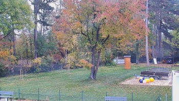 Koupaliště Bystřice pod Hostýnem
