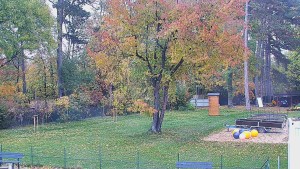 Koupaliště Bystřice pod Hostýnem - Beach volejbal - 31.10.2026 v 07:45 Koupaliště Bystřice pod Hostýnem - Beach volejbal - 31.10.2026 v 07:45
