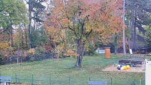 Koupaliště Bystřice pod Hostýnem - Beach volejbal - 31.10.2026 v 11:45 Koupaliště Bystřice pod Hostýnem - Beach volejbal - 31.10.2026 v 11:45