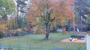 Koupaliště Bystřice pod Hostýnem - Beach volejbal - 31.10.2026 v 12:45 Koupaliště Bystřice pod Hostýnem - Beach volejbal - 31.10.2026 v 12:45